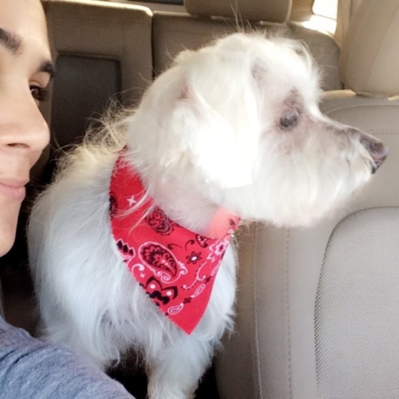 Meet your Posher, Mari - Picture 7 of 8